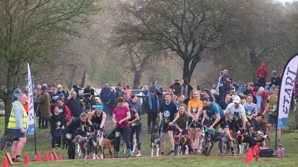 Irchy Park Canicross 2026