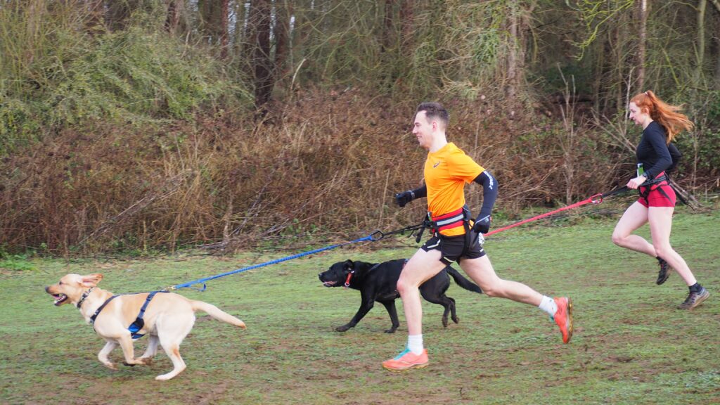 Irchy Park Canicross 2026