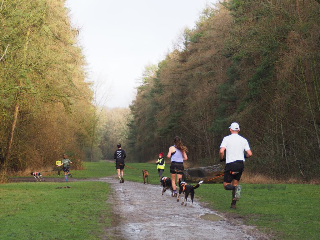 Irchy Park Canicross 2026