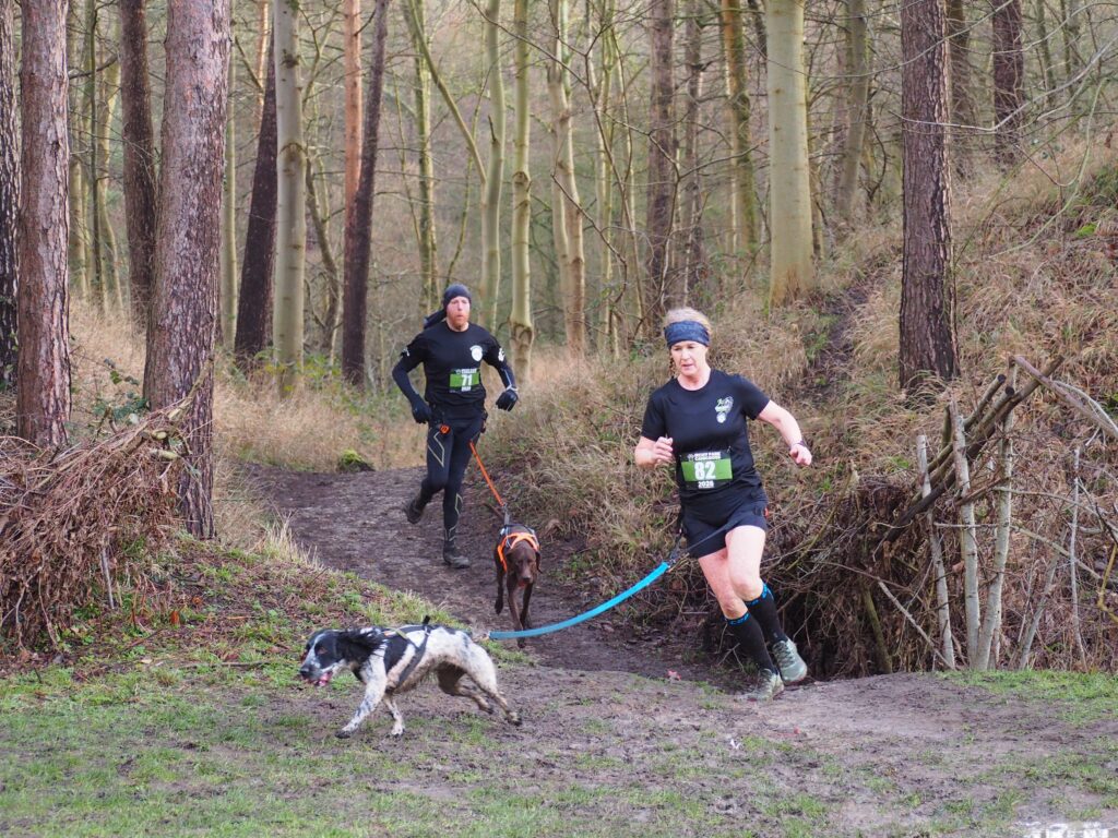 Irchy Park Canicross 2026